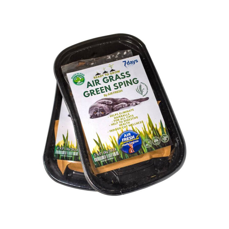 تصویر علف گربه ایرفرش Air Fresh Grass Green Sping وزن 30 گرم