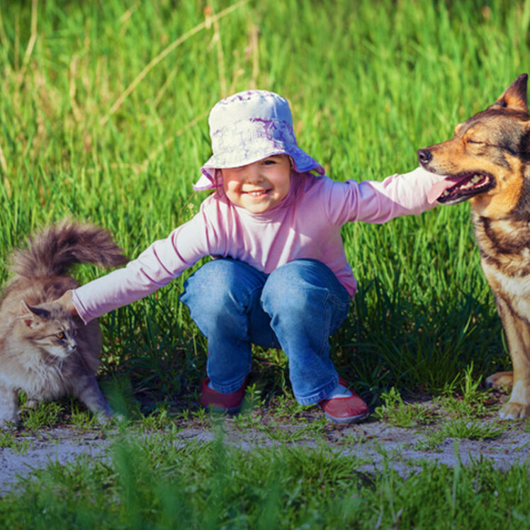 آیا کودکان در ارتباط با حیوانات خانگی ایمن هستند؟