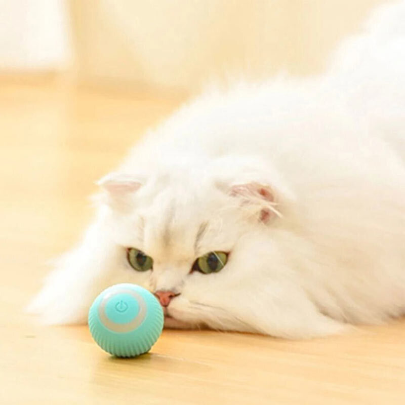  تصویر لایف استایل توپ هوشمند گربه پت گرویتی Petgravity Smart Rotation Ball 