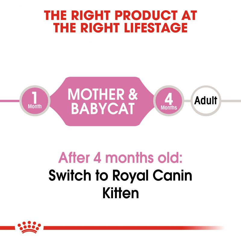  عکس توضیحات کنسرو غذای گربه رویال کنین مدل Mother & Baby وزن ۱۹۵ گرم 