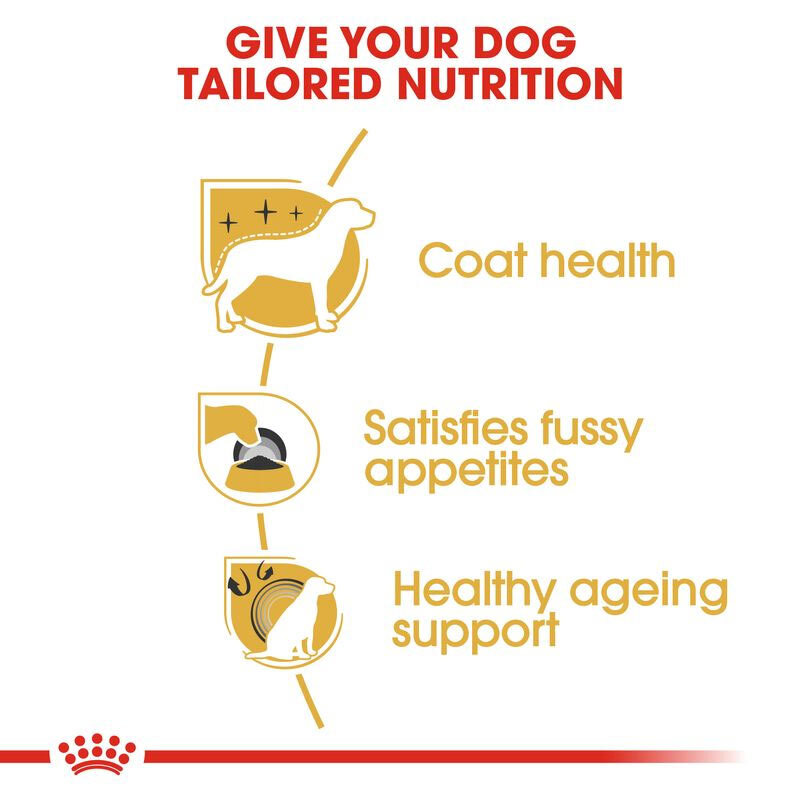  عکس اینفوگرافی ویژگی های غذای خشک سگ یورکشایر تریر رویال کنین مدل Royal Canin Adult Yorkshire Terrier وزن 1.5 کیلوگرم 