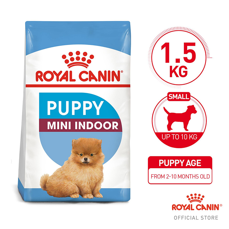  عکس تبلیغاتی غذای خشک توله سگ رویال کنین مدل Mini Indoor Puppy وزن 1.5 کیلوگرم 