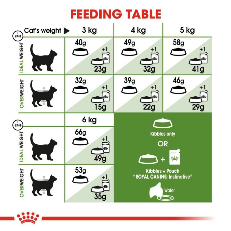 راهنمای تغذیه غذای خشک گربه رویال کنین مدل Outdoor Active Life وزن 2 کیلوگرم 