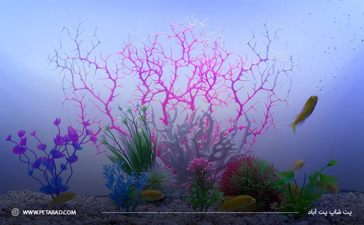 لوازم تزیینی آکواریوم