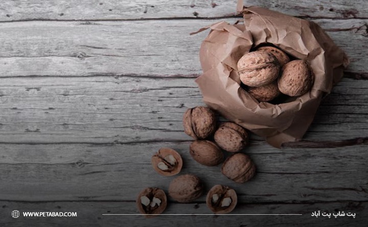 انواع آجیل سمی برای سگها : گردوی با پوسته