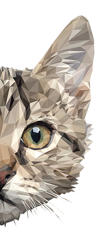 محصولات گربه تابستان داغ