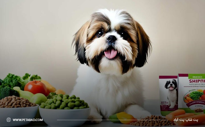 غذای سگ شیتزو 3 تا 6 ماهه