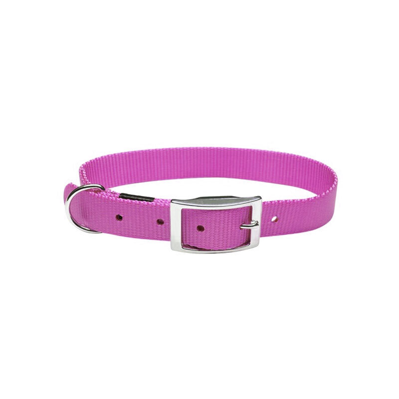  قلاده گردنی تسمه ای سگک دار بدون لید سگ هاگن Hagen Dogit Nylon Collar with Buckle سایز L رنگ بنفش 