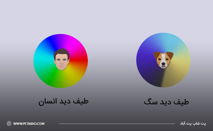 تفاوت طیف رنگی سگ ها و انسان ها