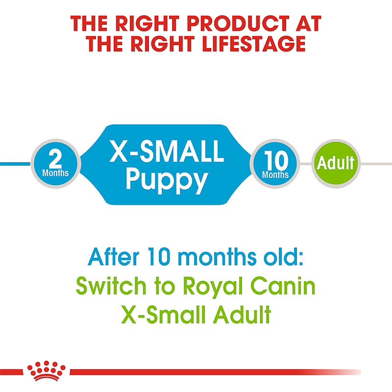  عکس توضیحات غذای خشک توله سگ رویال کنین مدل X-small Puppy/Chiot وزن ۱.۵ کیلوگرم 