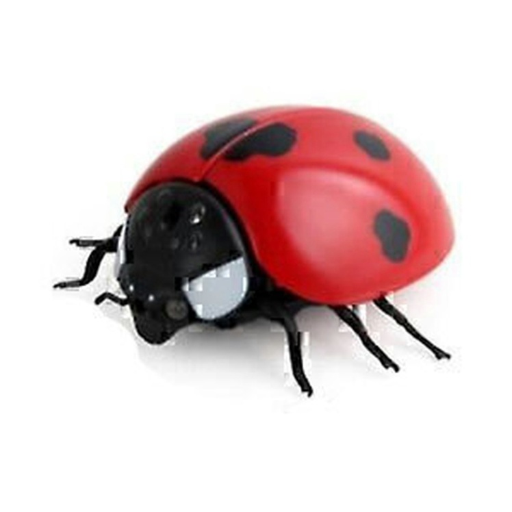 تصویر بسته بندی کفشدوزک اسباب بازی حشرات متحرک سگ و گربه زد اف ZF Controller Insects Toy