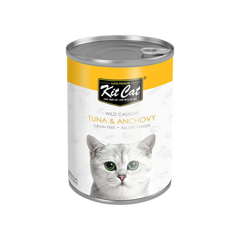  تصویر کنسرو غذای گربه کیت کت با طعم ماهی تن و ماهی ساردین KitCat Tuna & Anchovy وزن 400 گرم 
