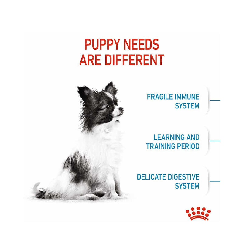  تصویر توضیحات غذای خشک توله سگ نژاد کوچک رویال کنین Royal Canin X-small Puppy وزن 500 گرم 