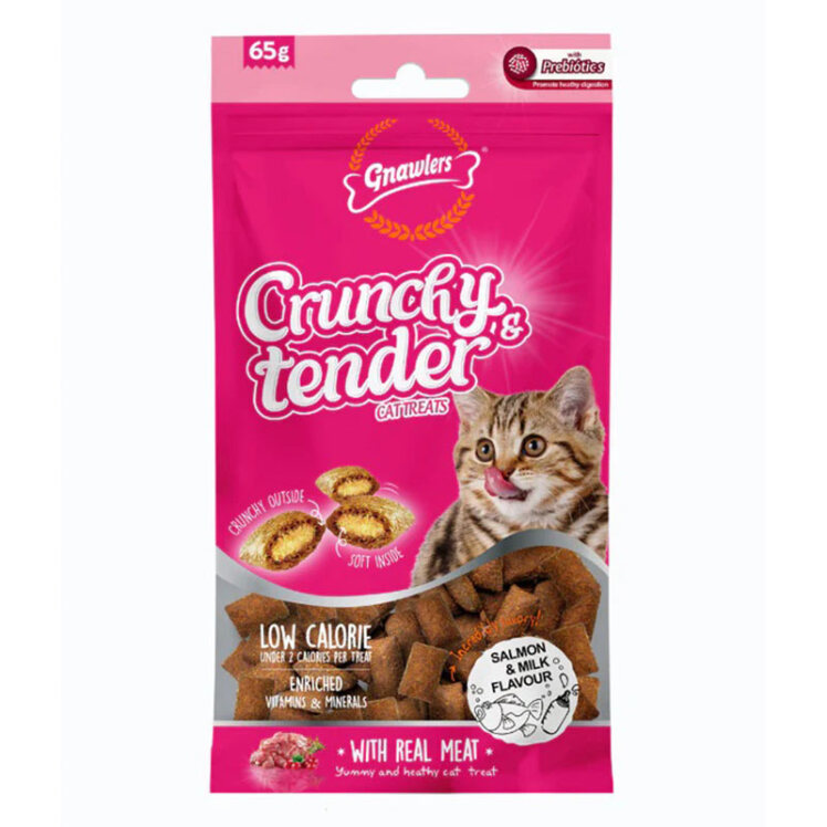 عکس تشویقی گربه گناولرز نوتری مغزدار با طعم سالمون و شیر Gnawlers Crunchy Cat Treat With Salmon & Dairyوزن 65 گرم