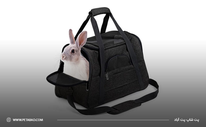 عدم حمل خرگوش با کیف حمل و نقل