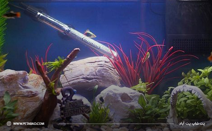 تجهیزات مورد نیاز آکواریوم: بخاری