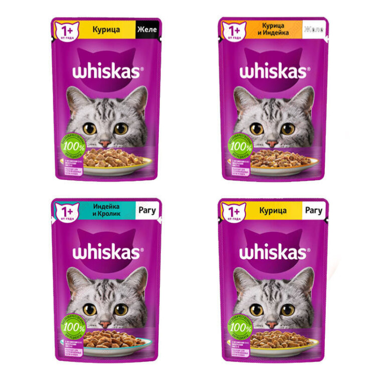 تصویر بسته پوچ گربه ویسکاس Whiskas Pouch Pack مجموعه 4 عددی 