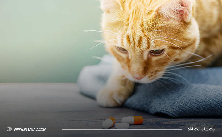 دارو برای درمان گلوله مویی گربه 