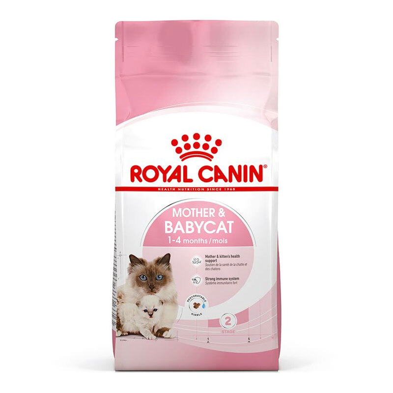  عکس بسته بندی غذای خشک مادر و بچه گربه رویال کنین Royal Canin Mother & Babycat وزن 4 کیلوگرم 