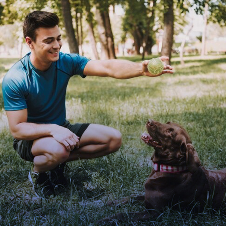 سگ آلفا چیست؟