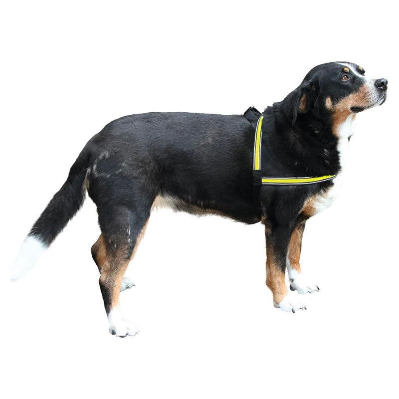  تصویر نحوه استفاده قلاده کتفی شبرنگ سگ کربل Kerbl Light & Flex Flashing Harness سایز L 