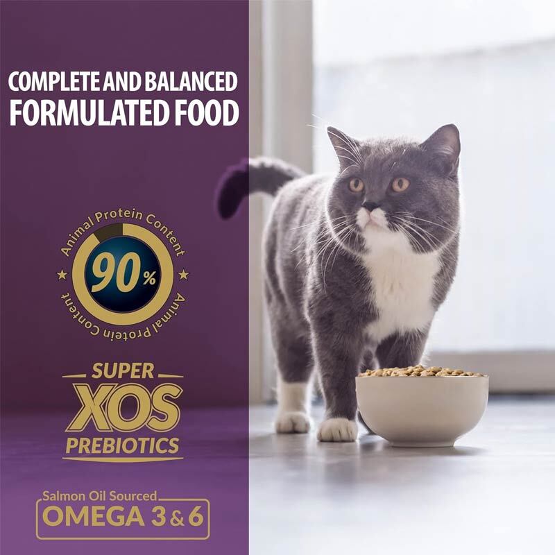  عکس تبلیغاتی غذای خشک گربه رفلکس پلاس Adult Gourmet وزن 1 کیلوگرم 