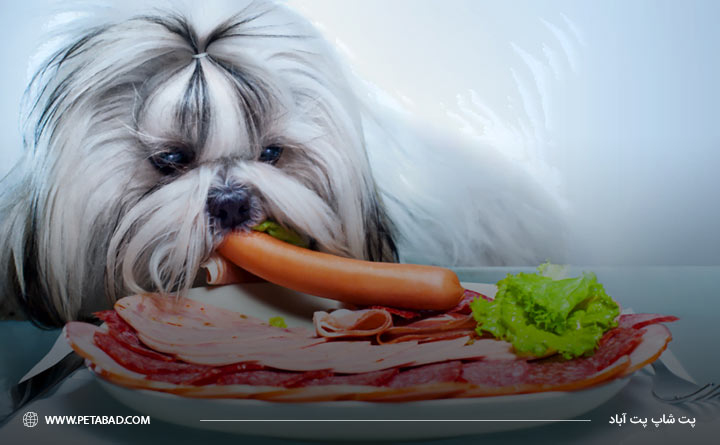 مواد مغذی ضروری برای رشد سگ