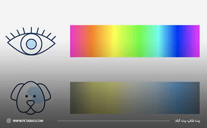 سگ ها چه رنگ هایی را می بینند؟