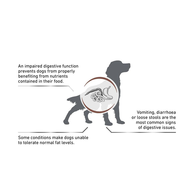 تصویر توضیحات غذای خشک سگ رویال کنین Royal Canin Gastrointestinal Low Fat 