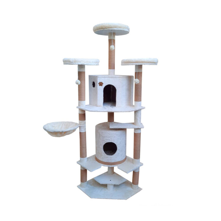 تصویر از رو به رو درخت گربه هیواپت طرح A83