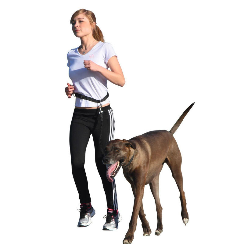  تصویر سبک زندگی سوم لید کمری مخصوص پیاده روی سگ کربل Kerbl Running Leash 