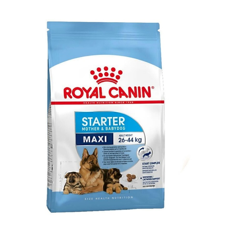 تصویر محتویات غذای خشک سگ رویال کنین مدل Maxi Starter وزن 4 کیلوگرم