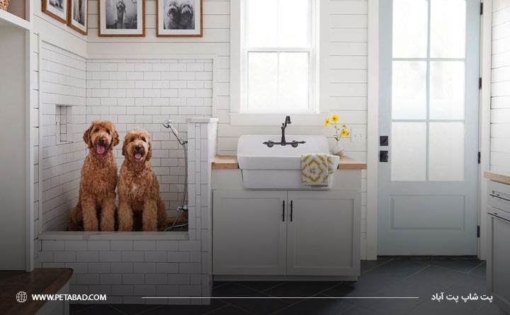 نحوه شستن سگ خانگی