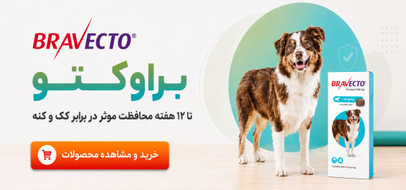 bravecto banners | petabad