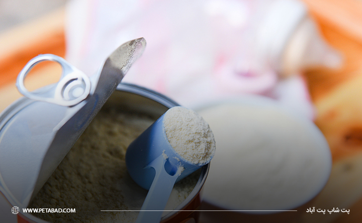 شیر خشک برای توله سگ بی مادر