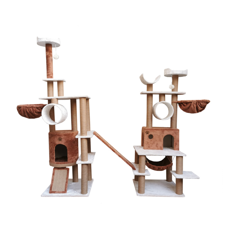 تصویر از رو به رو درخت گربه هیواپت طرح A85