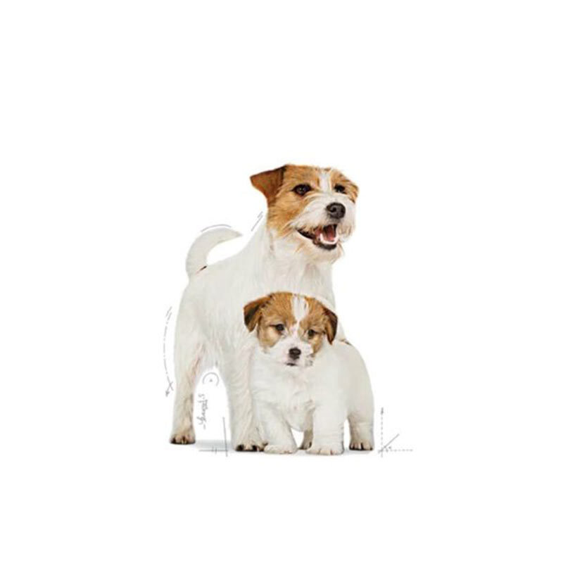  تصویر نژاد غذای خشک توله سگ نژاد کوچک رویال کنین Royal Canin Mini Starter وزن 3 کیلوگرم 