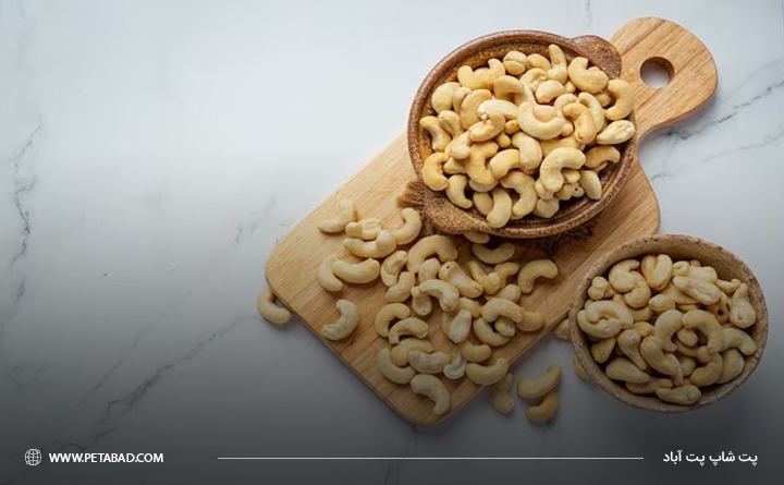 انواع آجیل سمی برای سگها : بادام هندی خام