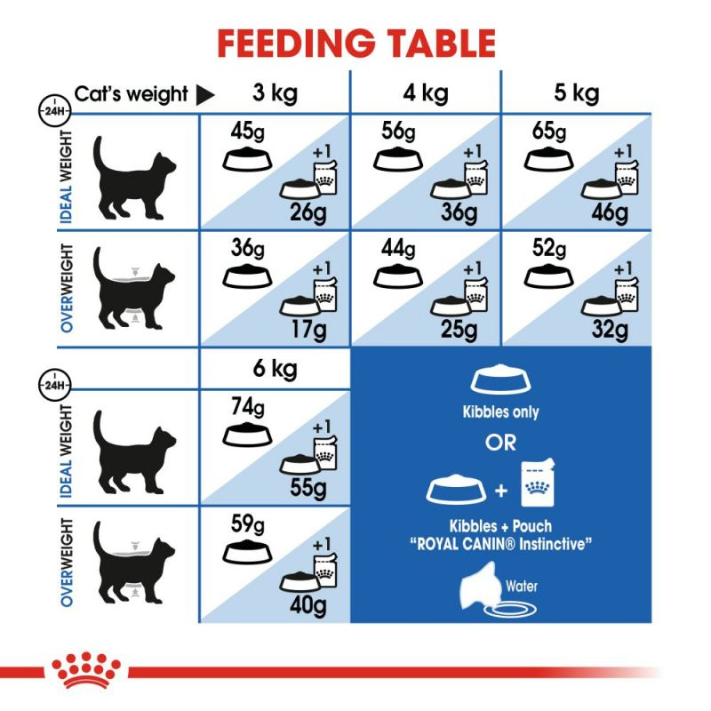  راهنمای تغذیه غذای خشک گربه رویال کنین مدل Indoor Home Life وزن 2 کیلوگرم 