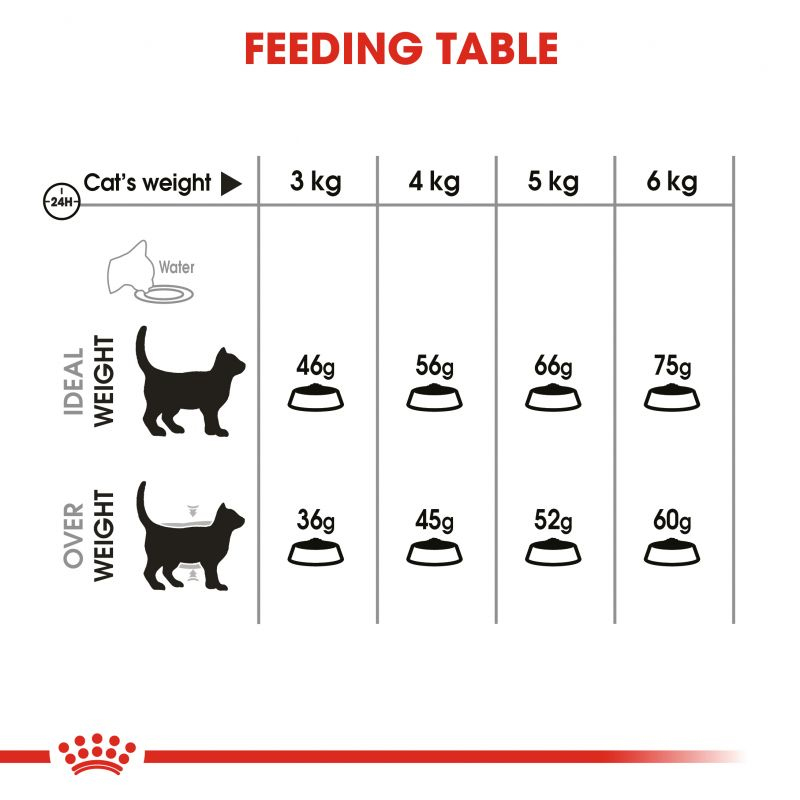  راهنمای تغذیه غذای خشک گربه رویال کنین مدل Oral Care وزن 1.5 کیلوگرم 