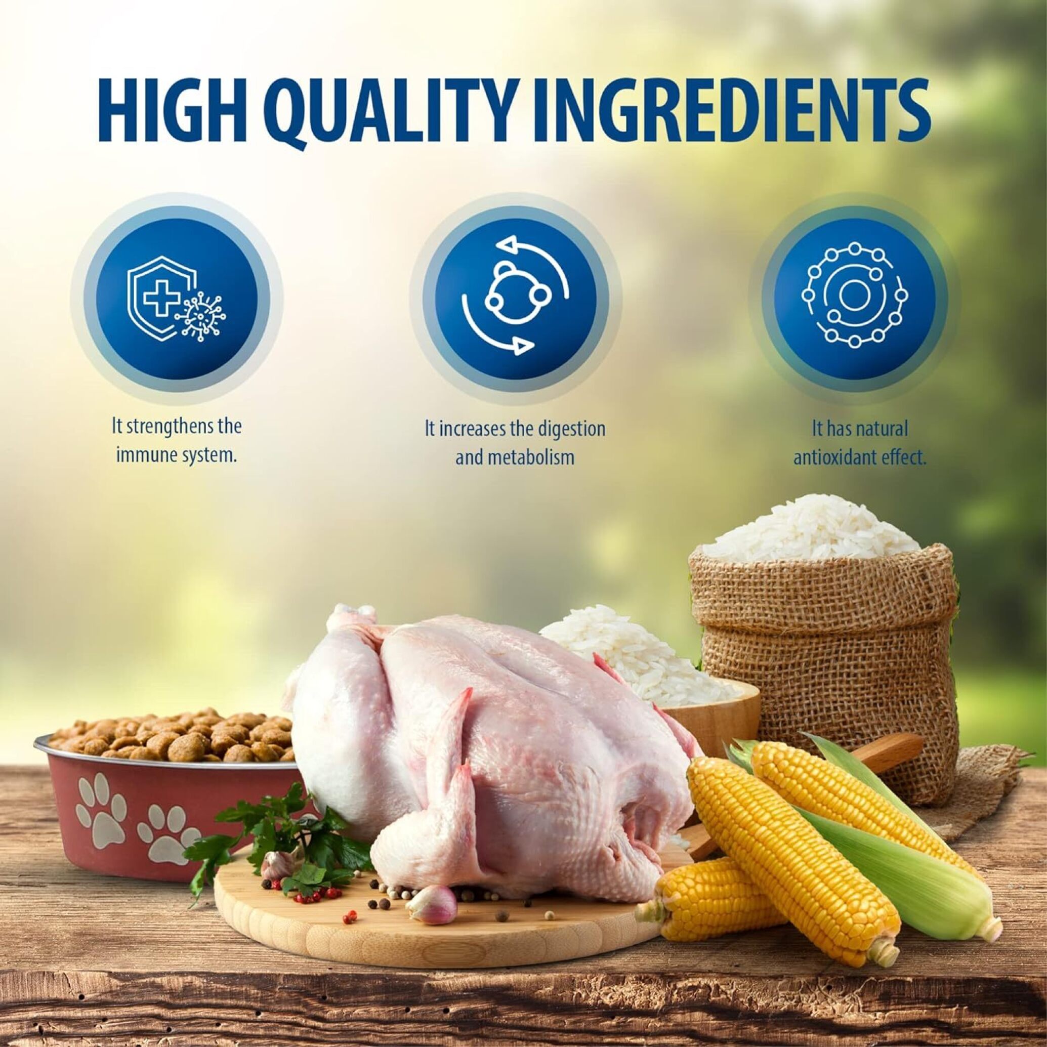  تصویر توضیحات غذای خشک گربه رفلکس پلاس مخصوص مشکلات ادراری Reflex Plus Urinary With Chicken وزن 1.5 کیلوگرم 