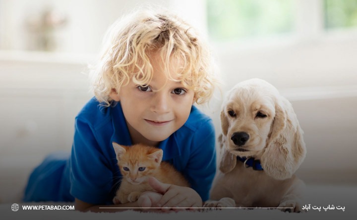 بهترین حیوان خانگی برای آپارتمان: سگ