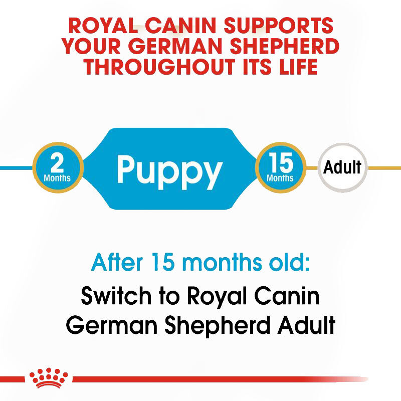  تصویر کاتالوگ غذای خشک توله سگ ژرمن شپرد رویال کنین Royal Canin German Shepherd Puppy وزن 12 کیلوگرم 