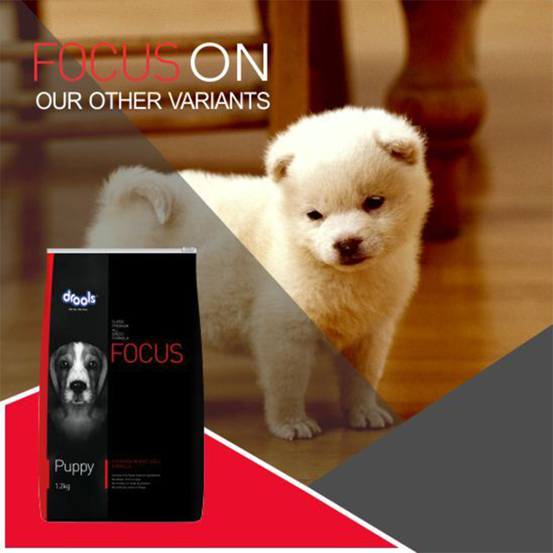  عکس تبلیغاتی غذای خشک سگ درولز مدل Focus Starter وزن 1.2 کیلوگرم 