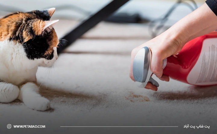 مدفوع کردن گربه در خارج از ظرف خاک