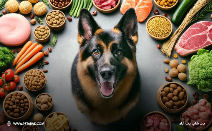 هر آنچه که باید درباره غذای سگ نگهبان بدانید