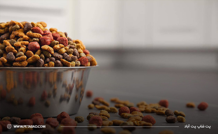 مقدار مصرف غذای سگ در روز