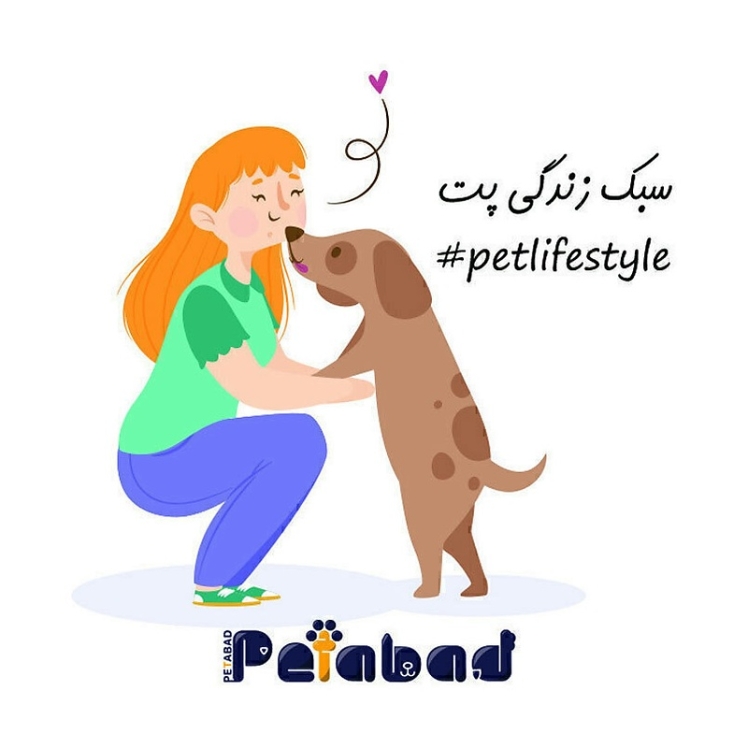تصویر پیکسل آهنربایی - طرح گربه