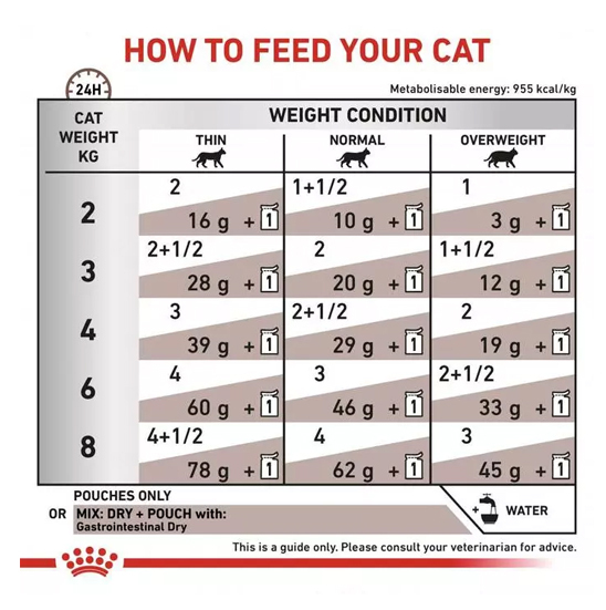  راهنمای تغذیه غذای خشک گربه رویال کنین مدل Gastro Intestinal وزن 2 کیلوگرم 