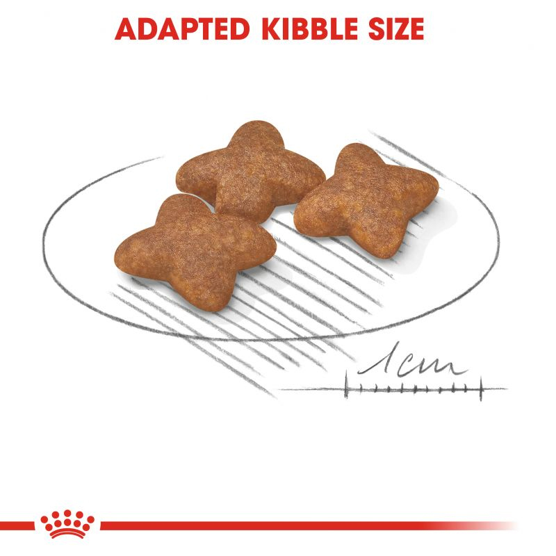  عکس دانه غذای خشک سگ رویال کنین مدل Mini Adult وزن 2 کیلوگرم 